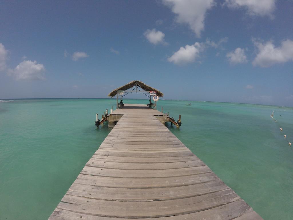 Buccoo Fish Tobago Guesthouse المظهر الخارجي الصورة