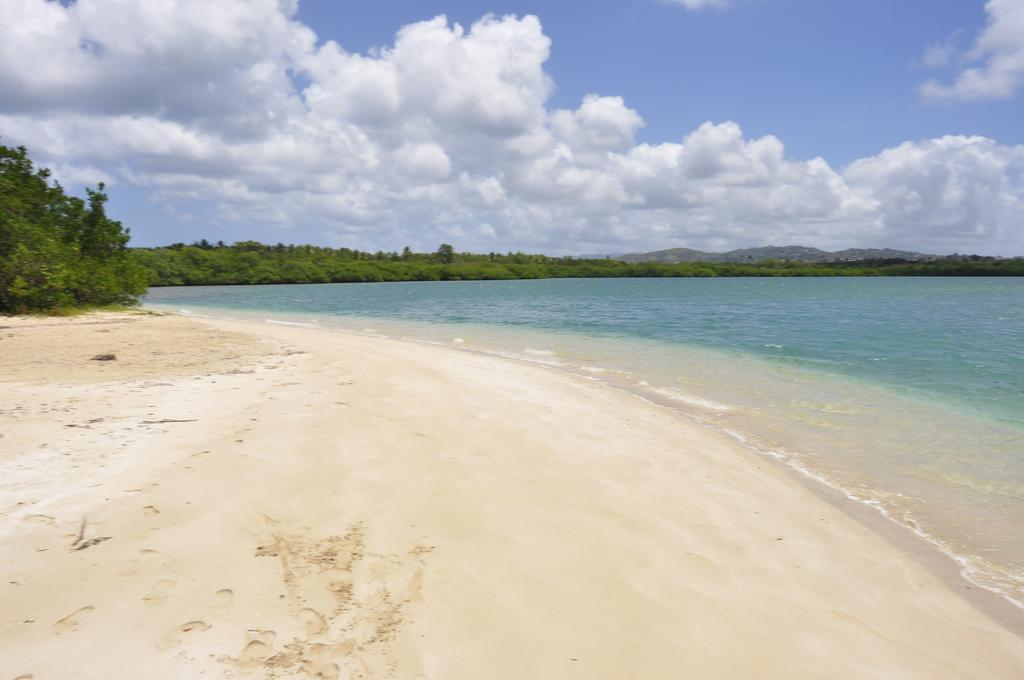 Buccoo Fish Tobago Guesthouse المظهر الخارجي الصورة