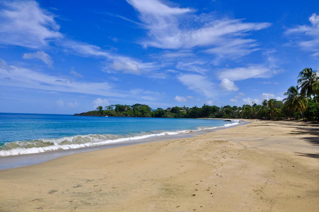 Buccoo Fish Tobago Guesthouse المظهر الخارجي الصورة