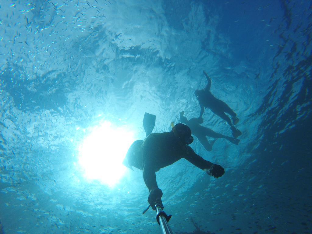 Buccoo Fish Tobago Guesthouse المظهر الخارجي الصورة