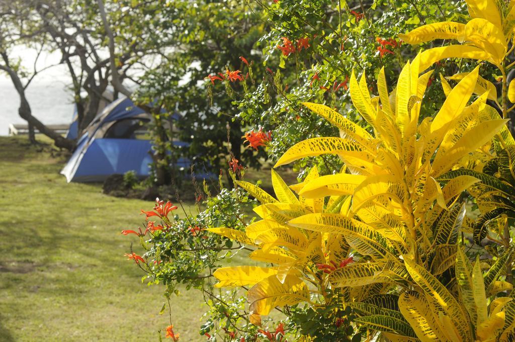 Buccoo Fish Tobago Guesthouse المظهر الخارجي الصورة