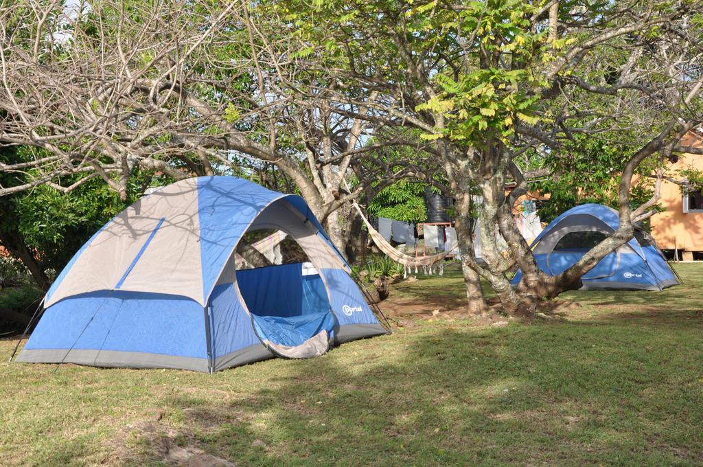 Buccoo Fish Tobago Guesthouse المظهر الخارجي الصورة